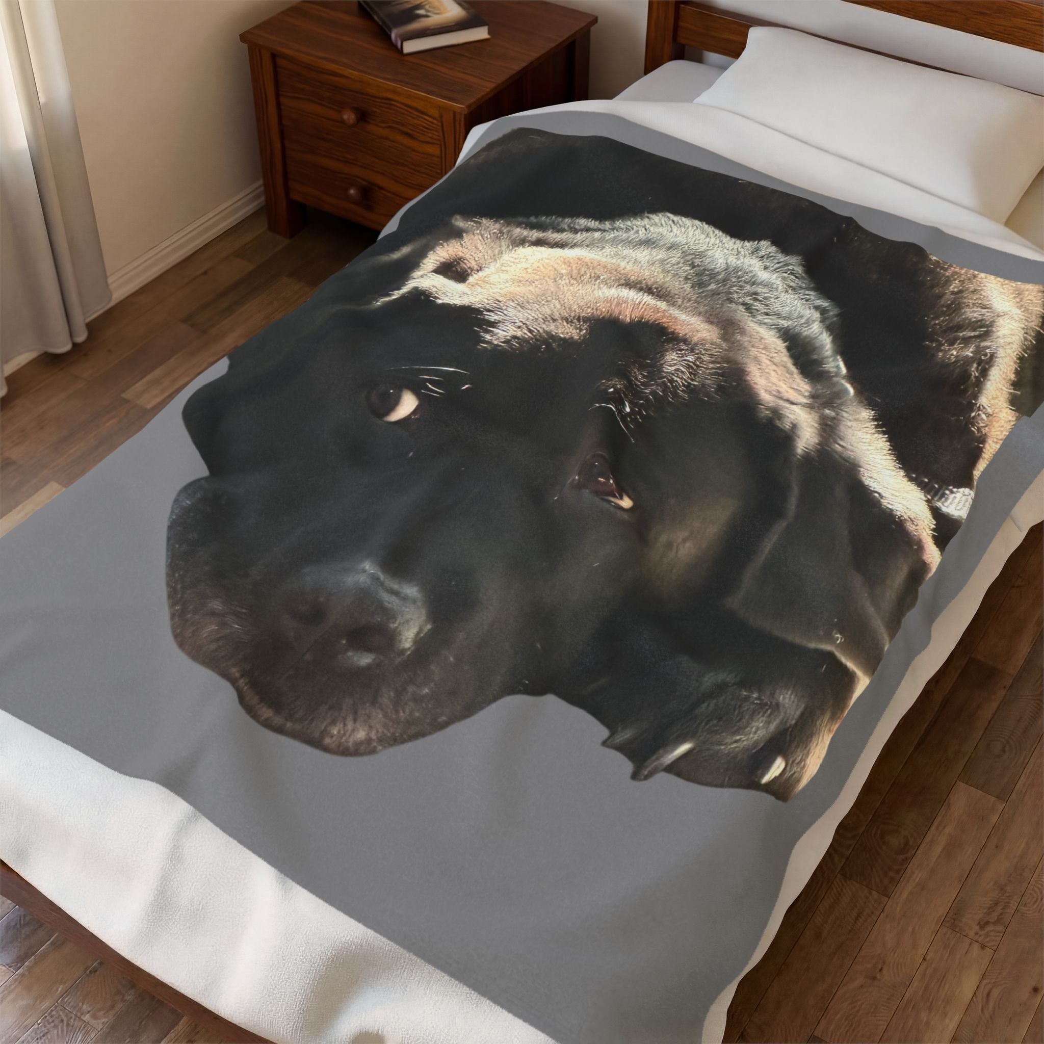 Velveteen Plush Blanket