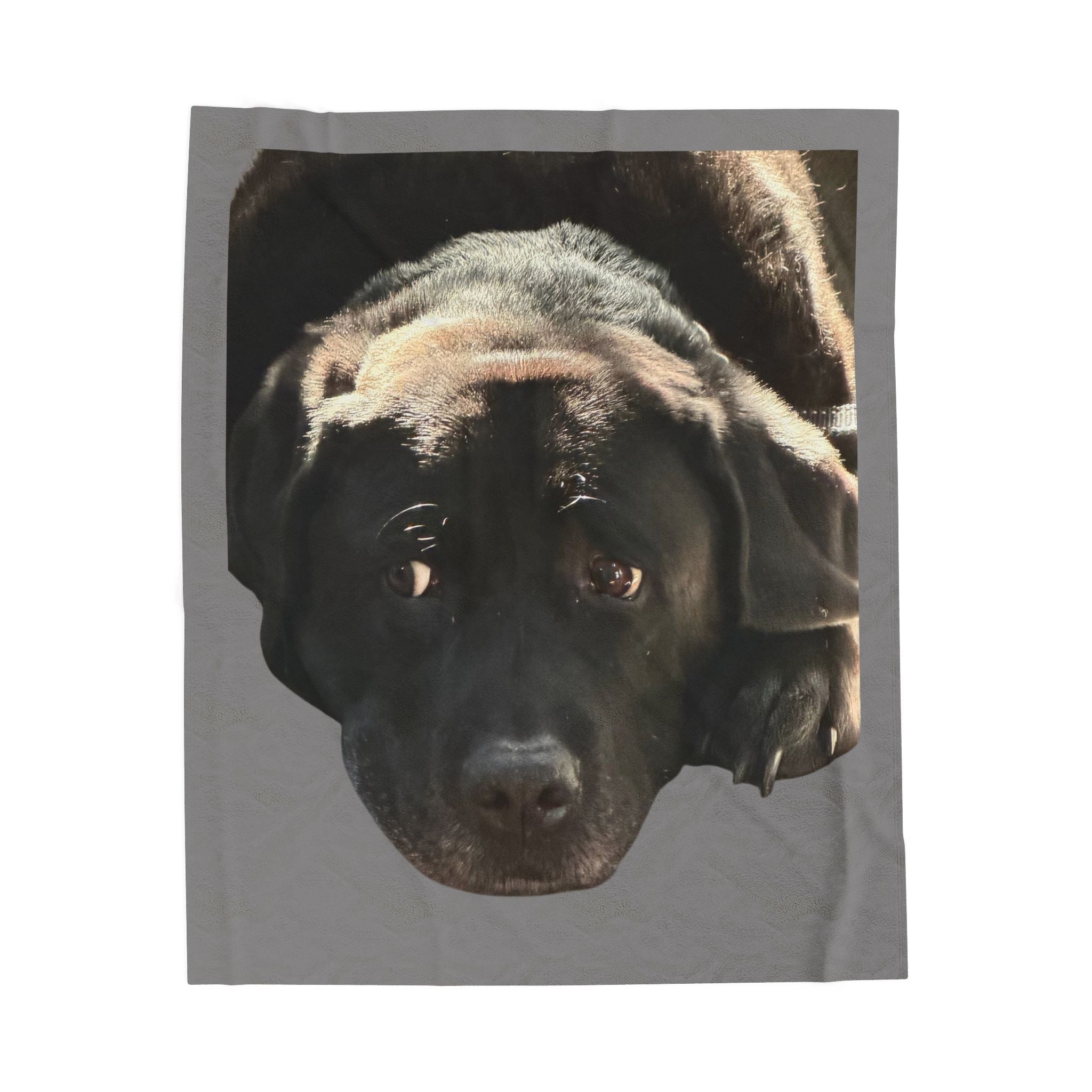 Velveteen Plush Blanket