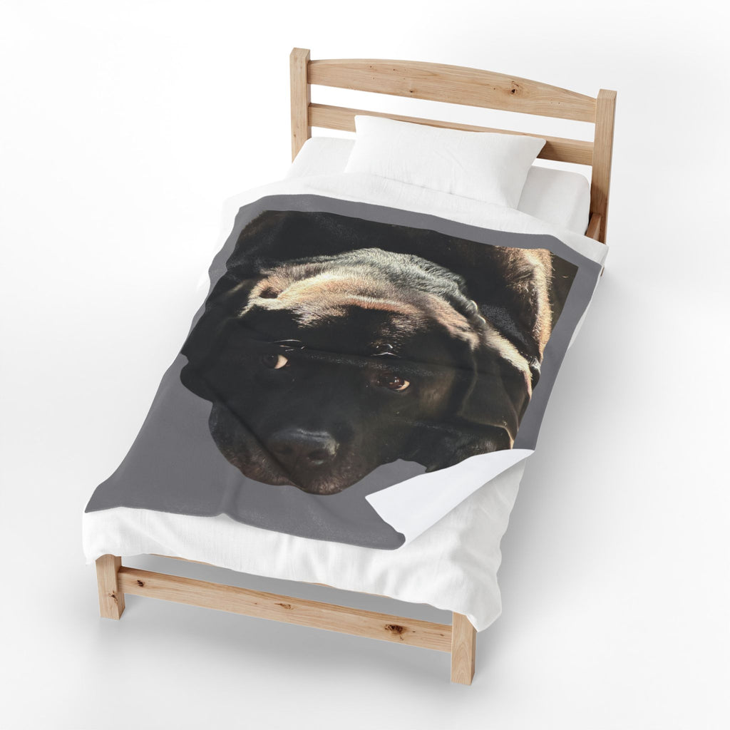 Velveteen Plush Blanket