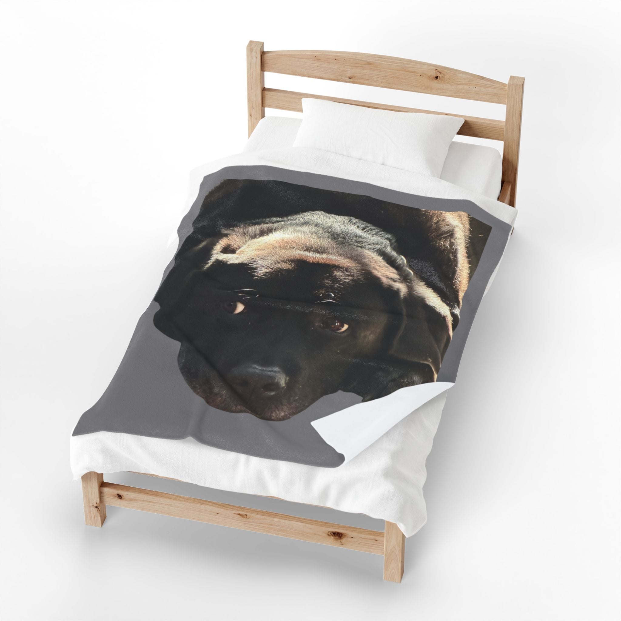 Velveteen Plush Blanket